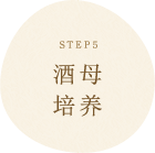 STEP5 酒母
培养